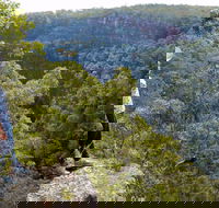 Glenbrook Gorge Track - Kawana Tourism