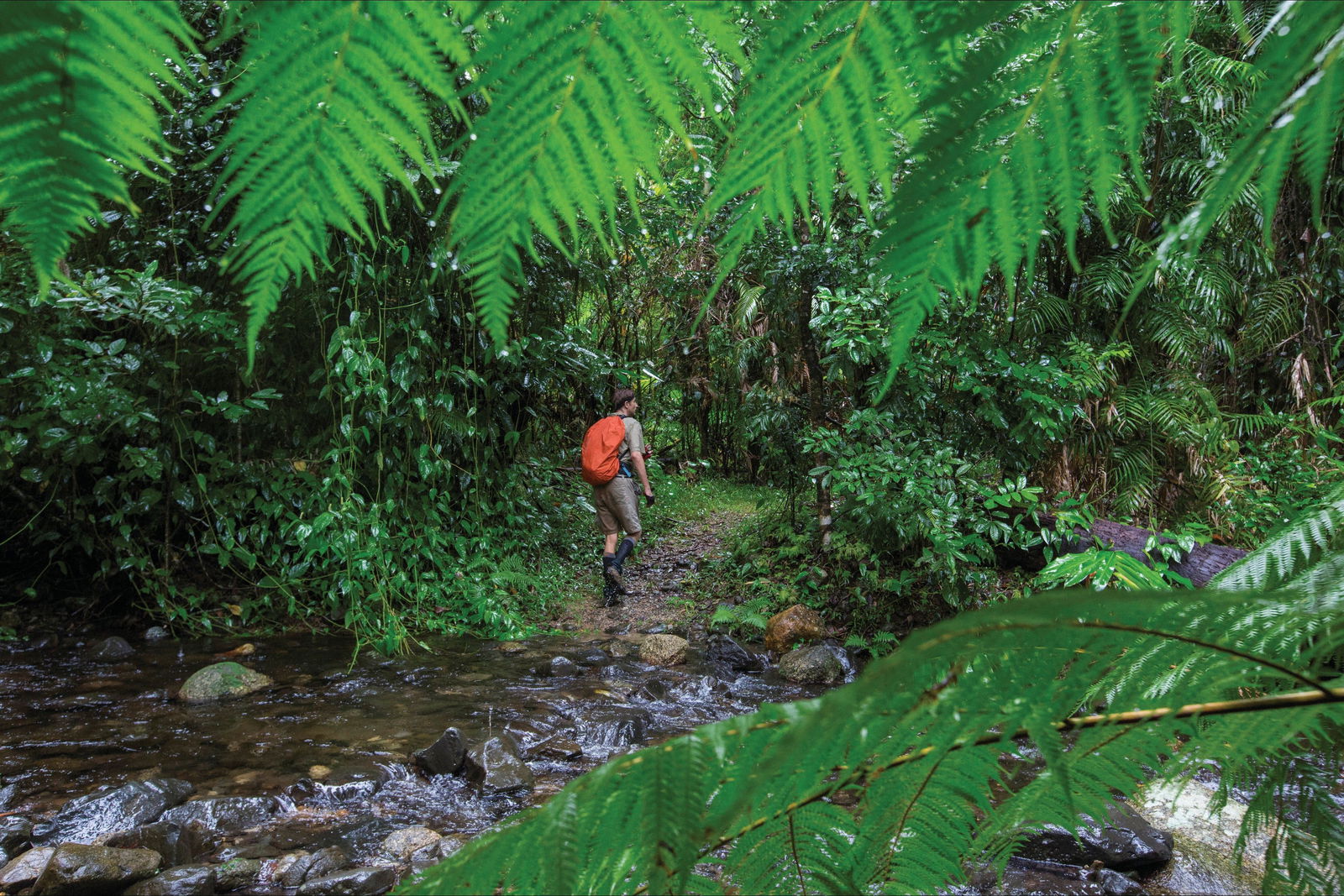 Goldsborough QLD Kawana Tourism