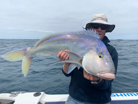 GT Fishing Charters - Kawana Tourism 1
