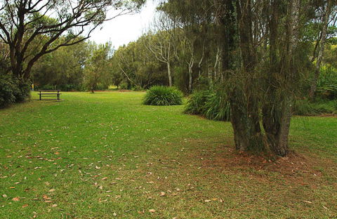 Hammerhead Point Picnic Area - Kawana Tourism 0