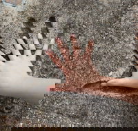 Hands of Fame Park - Kawana Tourism