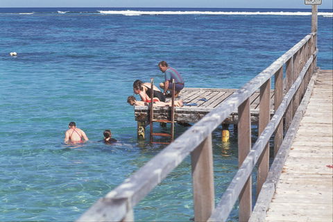 Horrocks - Kawana Tourism 2