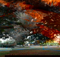 Jubilee Park Mackay - Kawana Tourism