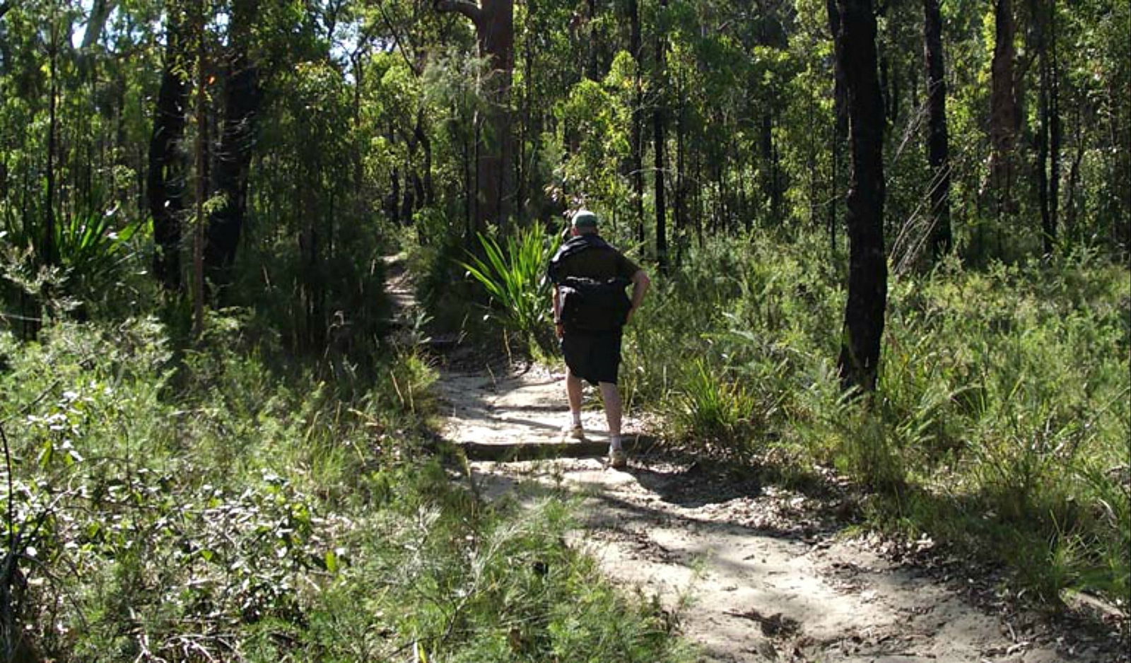 Woronora Heights NSW Kawana Tourism