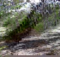 Lanky's Walk - Kawana Tourism