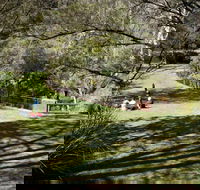 Leura Cascades picnic area - Kawana Tourism