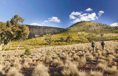 Little Mountain Walking Track - Kawana Tourism 0