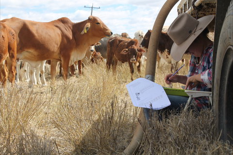 Longreach School Of Distance Education - Kawana Tourism 2