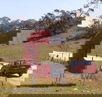 Magnetic Hill - Kawana Tourism