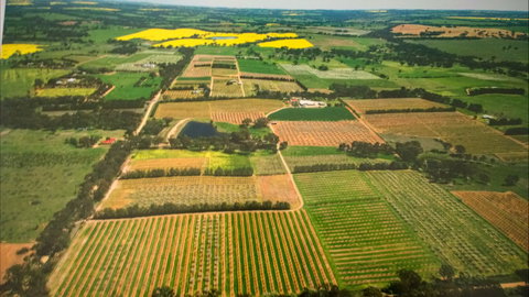 Martin's Orchard - Kawana Tourism 2