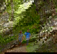Melba Gully - Kawana Tourism