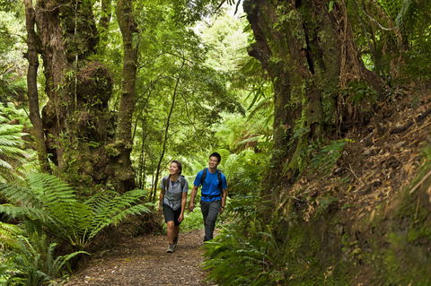 Melba Gully - Kawana Tourism 0