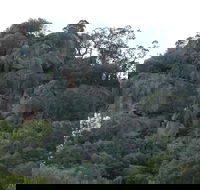 Mount Yarrowyck Nature Reserve - Kawana Tourism