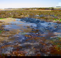 Point Danger Marine Sanctuary - Kawana Tourism