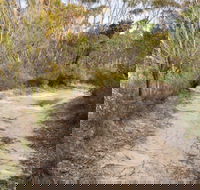 Red Rocks trig walking track - Kawana Tourism