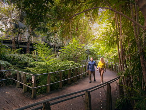 Roma Street Parkland - Kawana Tourism 2