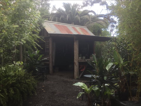 Roraima Nursery And Cafe - Kawana Tourism 1