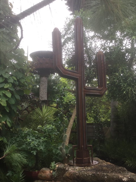 Roraima Nursery And Cafe - Kawana Tourism 2