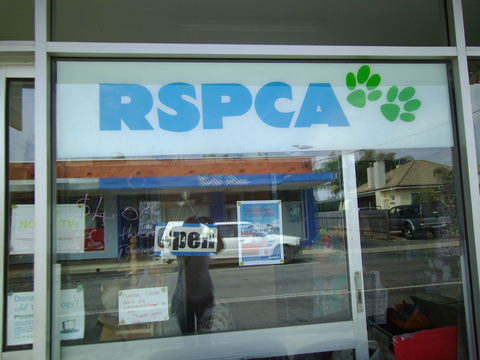 R.S.P.C.A Opportunity Shop - Kawana Tourism 0