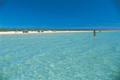 Shark Bay World Heritage Drive - Kawana Tourism 1