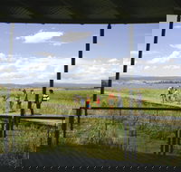 Tamar Island Wetlands Centre and Reserve - Kawana Tourism