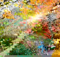 The Blue Mountains Botanic Garden Mount Tomah - Kawana Tourism