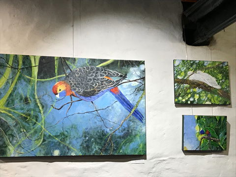 The Coach House Studio - Kawana Tourism 2