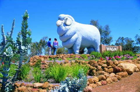 Wagin - Kawana Tourism 0