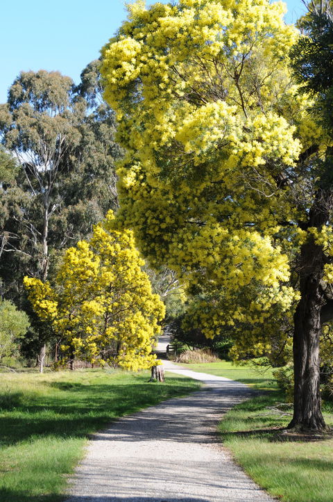 Wattle Park - Kawana Tourism 0