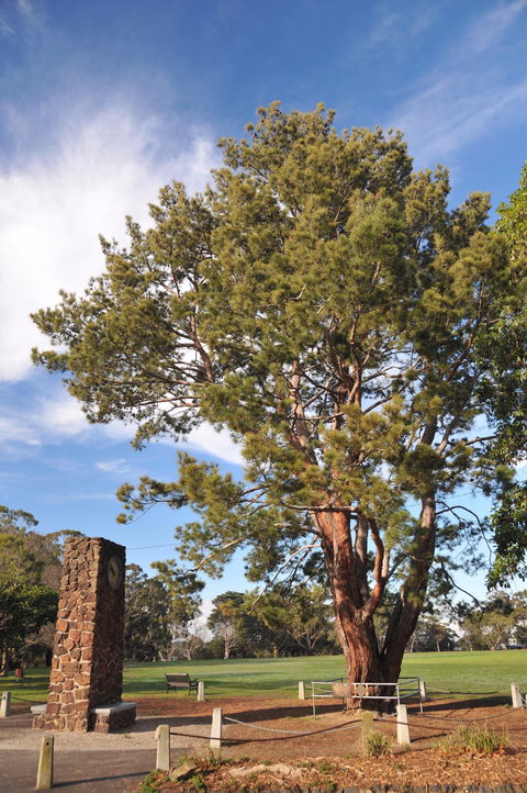 Wattle Park - Kawana Tourism 2