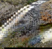 Waterfall Way Scenic Drive - Kawana Tourism