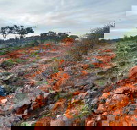 Western Ridge Walk - Kawana Tourism