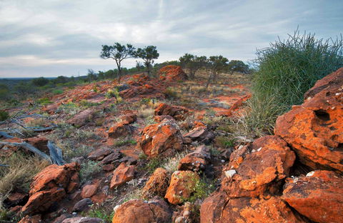 Western Ridge Walk - Kawana Tourism 0