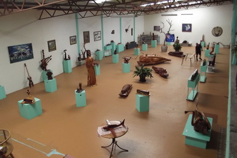 Ant's Redgum Gallery - Kawana Tourism 1