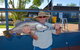 Barramundi Adventures Darwin - thumb 2