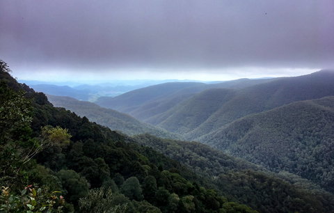 Barrington Tops State Forest - Kawana Tourism 2