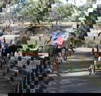 Bidgee Riverside Trail  - Hay Nature Walk - Kawana Tourism