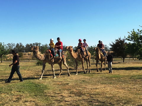 Billabong Ranch Adventure Park - Kawana Tourism 1