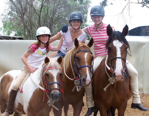 Billabong Ranch Adventure Park - Kawana Tourism 2