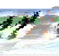 Broadbeach Surf School - Kawana Tourism