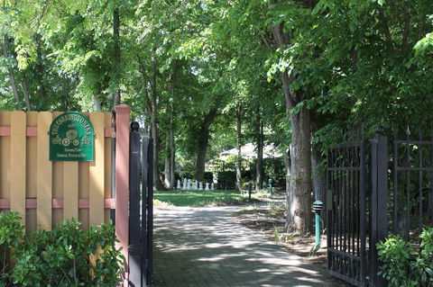 Bungendore Heritage Walk - Kawana Tourism 0