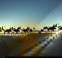 Cable Beach - Kawana Tourism