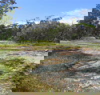 Christmas Rock Walk - Kawana Tourism