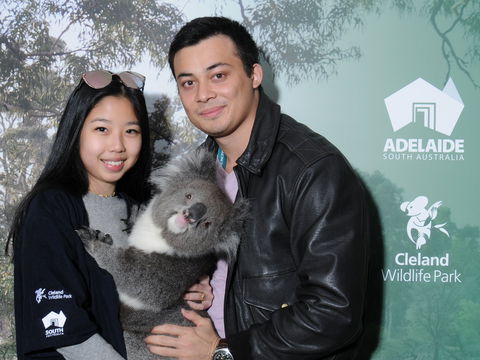 Cleland Wildlife Park - Koala Hold - Kawana Tourism 0