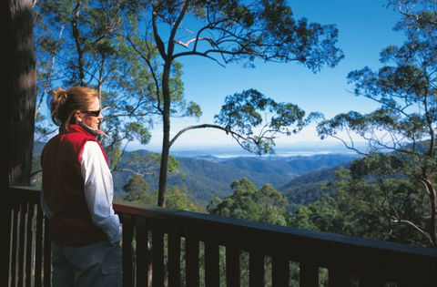 D'Aguilar National Park - Kawana Tourism 0