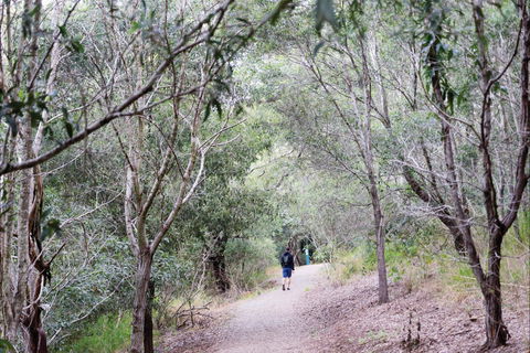 D'Aguilar National Park - Kawana Tourism 2