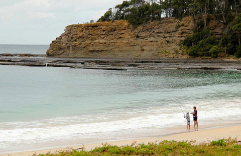 Depot Beach Picnic Area - Kawana Tourism 0