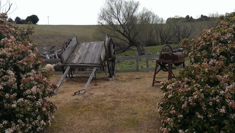 Early Settlers Hut - Kawana Tourism 2