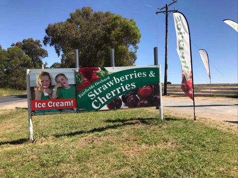 Fairfield Orchard - Kawana Tourism 0