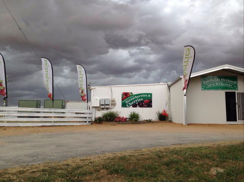 Fairfield Orchard - Kawana Tourism 2